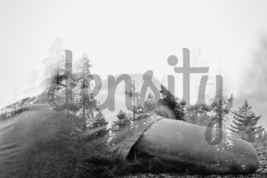 Double exposure young man resting in nature