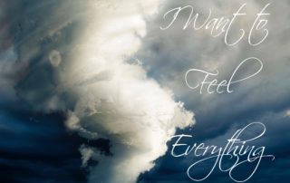 I Want to Feel Everything