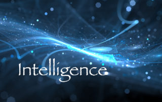 Intelligence