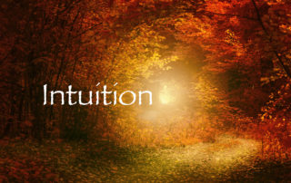 Intuition