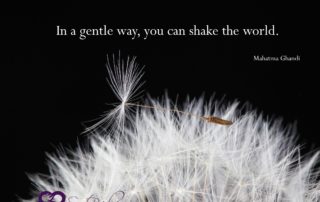 Ghandi