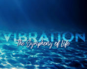 Vibration: The Symphony of Life