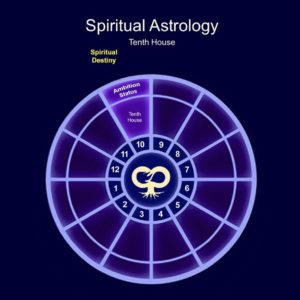 astrology 10th house career