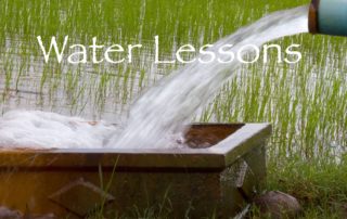 Water Lessons