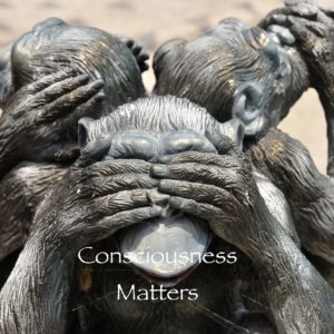 Consciousness Matters