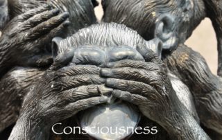 Consciousness Matters
