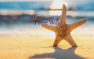 Free Will