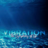 Soul Bridging's Vibration the symphony of life - front cover