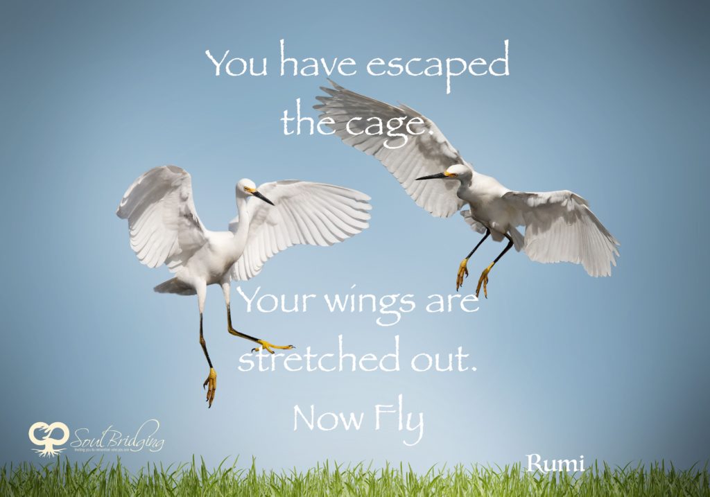 Escaped the Cage - Rumi