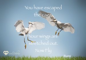 Escaped the Cage - Rumi