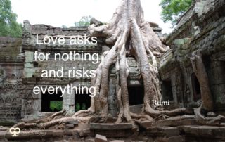 Love Asks for Nothing - Rumi