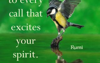 Respond to Every Call - Rumi