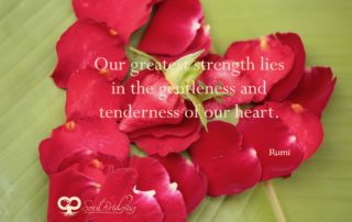 Gentleness of the Heart - Rumi