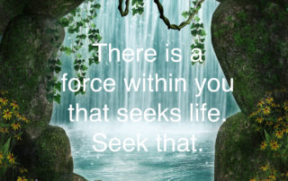 The Force Within You - Rumi