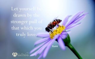 The Pull of Love - Rumi
