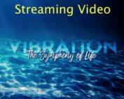 Streaming Vibration - The Symphony of Life