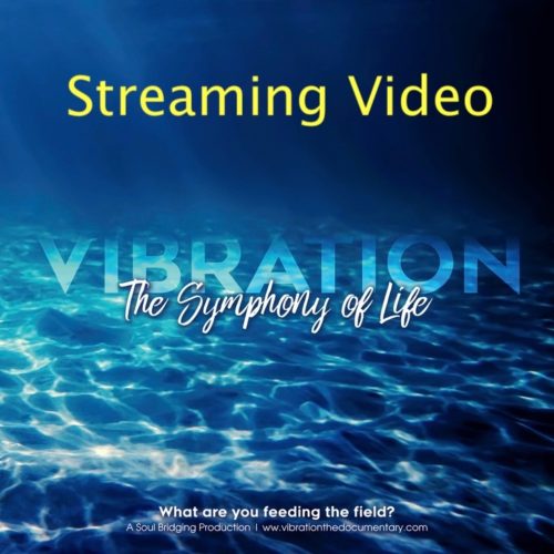 Streaming Vibration - The Symphony of Life