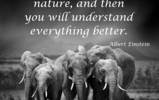 Understanding Nature