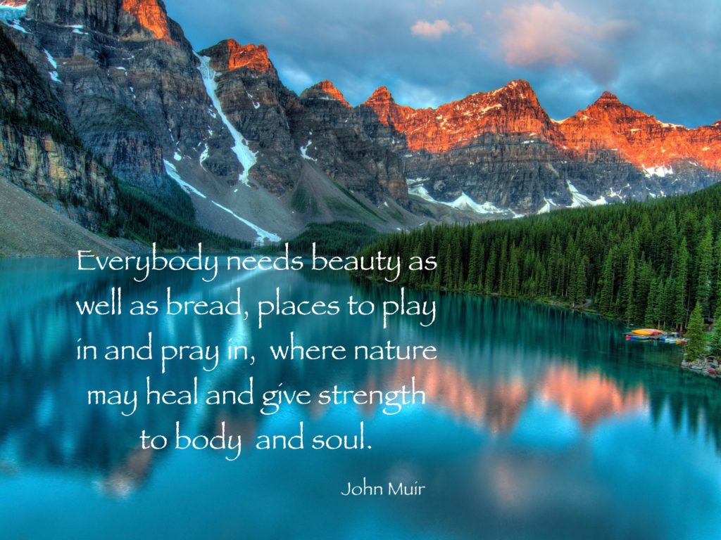 Muir Nature and Soul