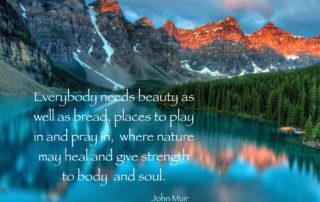 Muir Nature and Soul