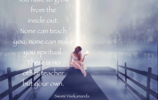 Soul's Teacher