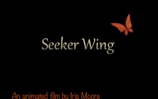 Seeker Wing